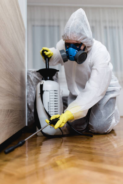 Best Termite Inspection and Treatment  in Sheridan, IL